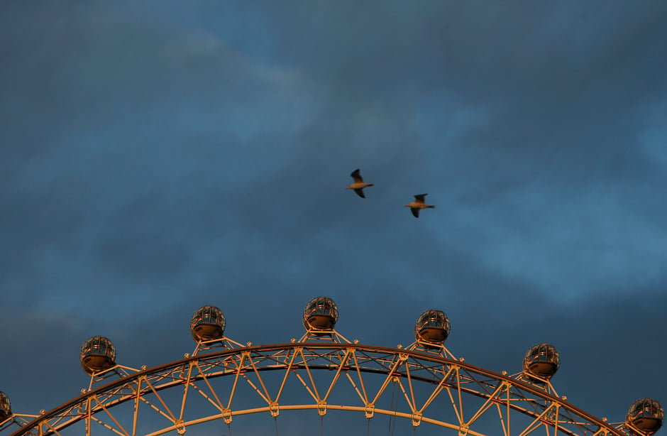 Two gulls fly over the London Eye in central London, Britain. PHOTO: REUTERS