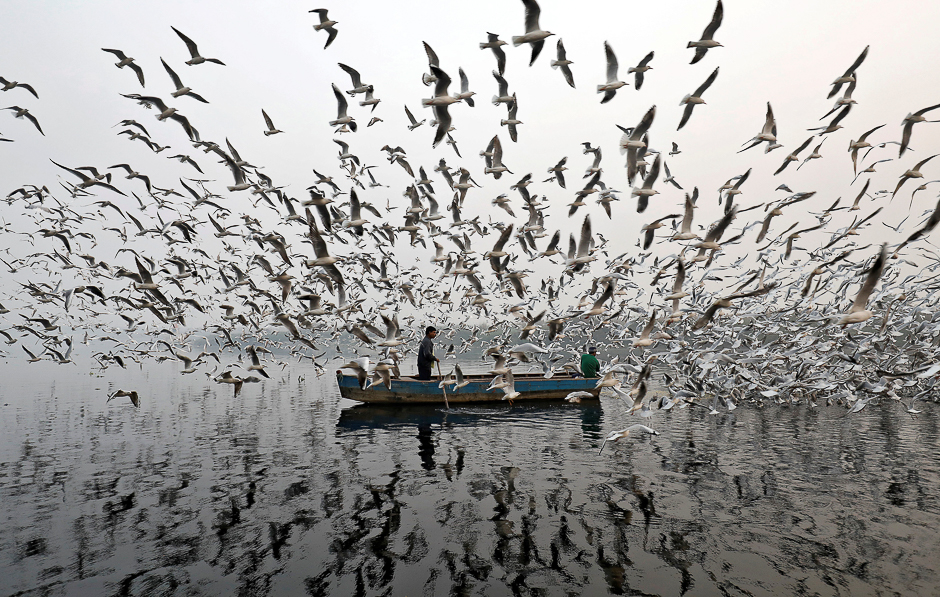 Men feed seagulls along the Yamuna river on a smoggy morning in New Delhi, India. PHOTO: REUTERS