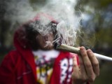 a-man-smokes-a-large-joint-before-the-global-marijuana-march-in-toronto