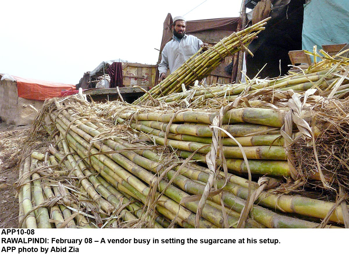 sugarcane-app-2-3-2-2-2-2