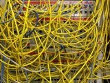 file-photo-ethernet-cables-used-for-internet-connections-are-pictured-in-a-berlin-office