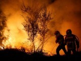 firefighters-work-to-extinguish-flames-from-a-forest-fire-in-cabanoes-near-lousa-2