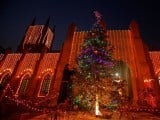 a-man-decorates-a-christmas-tree-at-the-st-john-cathedral-church-ahead-of-christmas-celebrations-in-peshawar-2-2-2-2