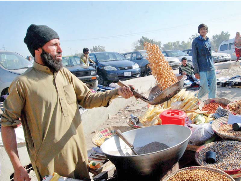 roasted maize warm up winters