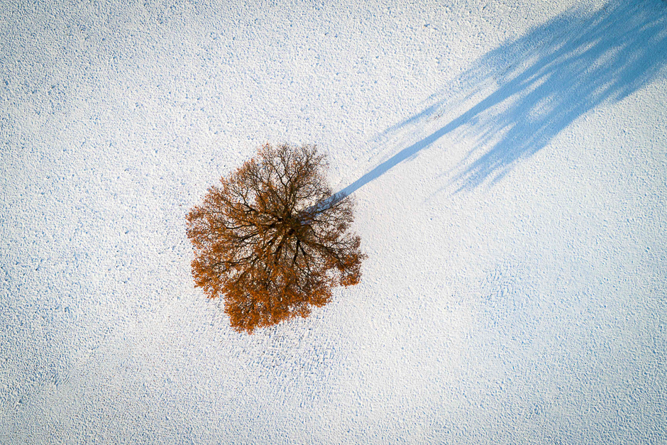 A tree surrounded by snow is seen near Chavannes-les-Forts, western Switzerland. PHOTO: AFP