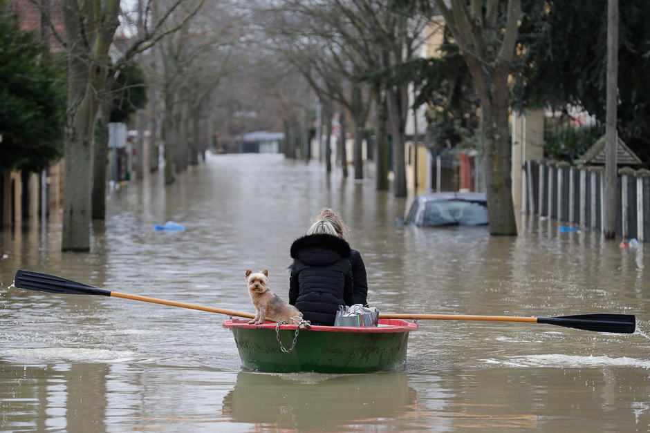 Local residents and their dog go down a flooded street in a rowboat in Villeneuve-Saint-Georges. PHOTO: AFP