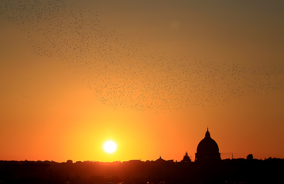 A flock of starlings fills the sunset over Rome, Italy. PHOTO: REUTERS