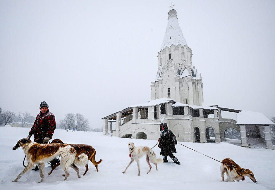 People walk their greyhound Barzoi dogs near a cathedral in Kolomenskoye museum-reserve during a snowfall in Moscow. PHOTO: AFP