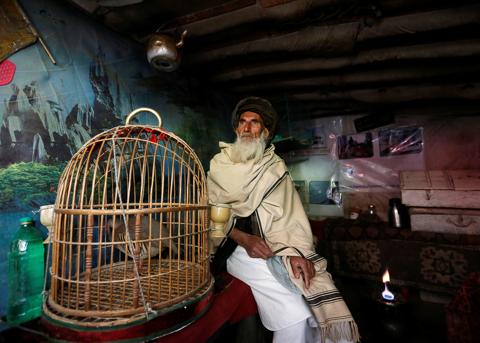 Mohammad Jan, 67, sits beside a cage of partridges in a shop at Ka Faroshi bird market in Kabul, Afghanistan. PHOTO: REUTERS