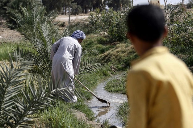 A boy watches as 73-year-old Iraqi farmer Abu Ali uses a shovel to dig in a stream of water in the village of Sayyed Dakhil, to the east of Nasariyah city some 300 kilometres (180 miles) south of Baghdad, on March 20, 2018. PHOTO: AFP