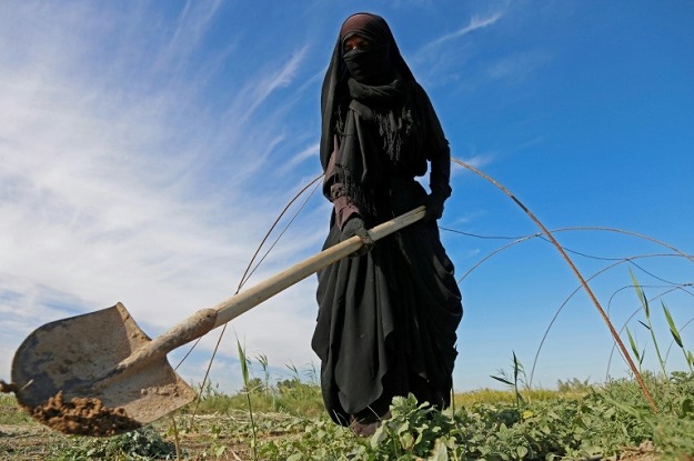A female Iraqi farmer digs with a shovel in a field in Diwaniyah, around 160 kilometres (100 miles) south of the capital Baghdad, on April 2, 2018. PHOTO: AFP