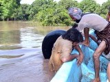 rescue-floods-2014-multan-boat-drown-drowning-photo-app-3-2