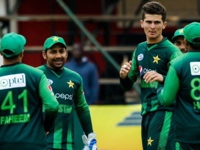 Image result for shaheen afridi