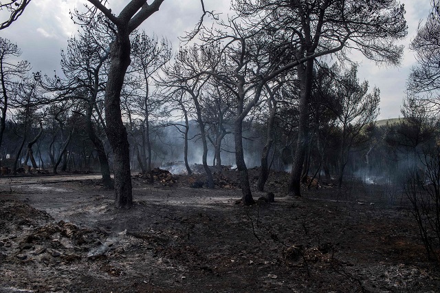 Fire, Greece. PHOTO: AFP
