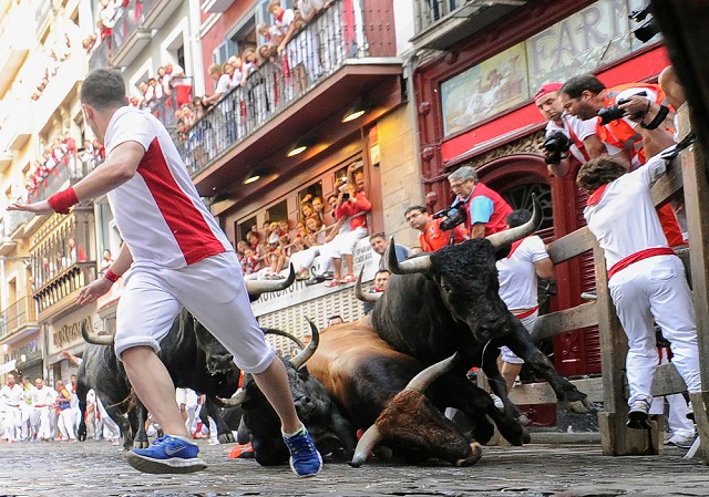 Participants run next to Miura fighting bulls on the last bullrun of the San Fermin festival in Pamplona, northern Spain on July 14, 2018. PHOTO: AFP