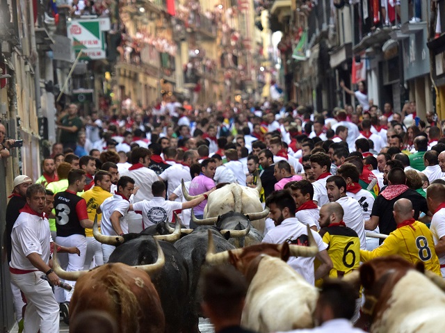 Each day at 8am hundreds of people race with six bulls, charging along a winding, 848.6-metre (more than half a mile) course through narrow streets to the city's bullring, where the animals are killed in a bullfight or corrida. PHOTO: AFP