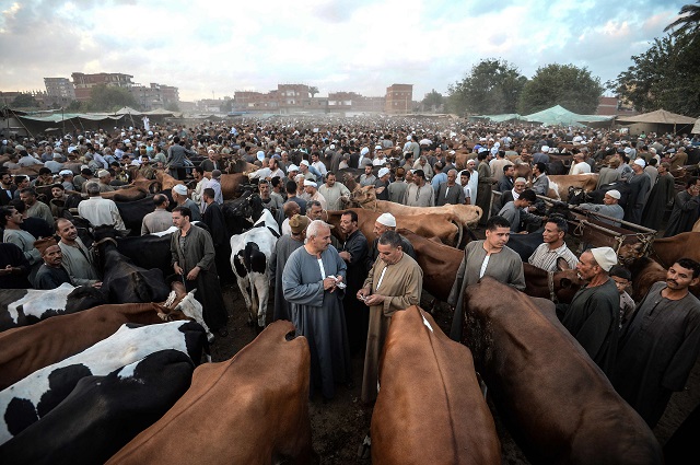 in pictures muslims prepare for eidul azha