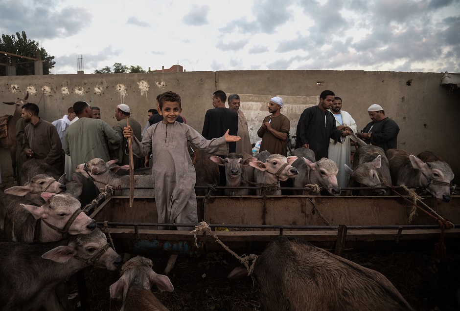 A young boy gestures at the Ashmun market in Egypt's Menoufia governate on August 15, 2018, ahead of Eidul Azha. PHOTO:AFP