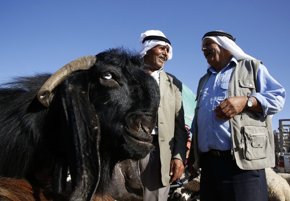 Vendors chat in a local livestock market in the West bank city of Hebron, Palestine on August 17, 2018, ahead of Eidul Azha. PHOTO:AFP