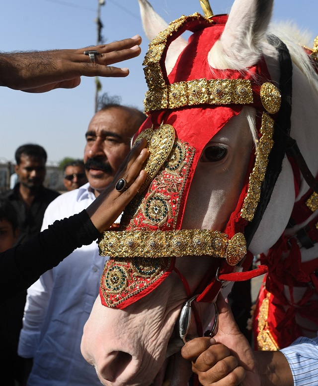 shia muslims touch a horse symbolising the one used by hazrat imam hussain ra in karachi on september 20 2018 photo afp