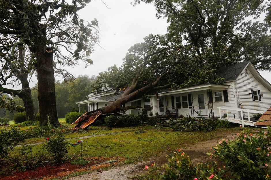  A downed tree rests on a house during the passing of Hurricane Florence in the town of Wilson PHOTO: REUTERS