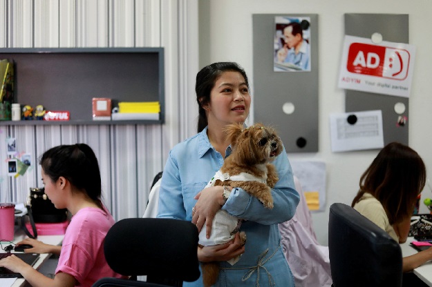  Anusara holds a dog as she works in an office of a digital advertising agency which promotes bring-your-dog-to-work in Bangkok, Thailand. PHOTO REUTERS