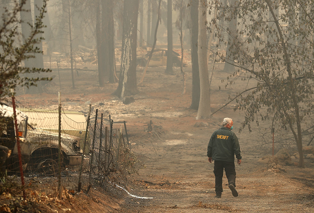 A Butte County sherriff deputy searches the property of a destroyed home for a reported Camp Fire victim. PHOTO: AFP