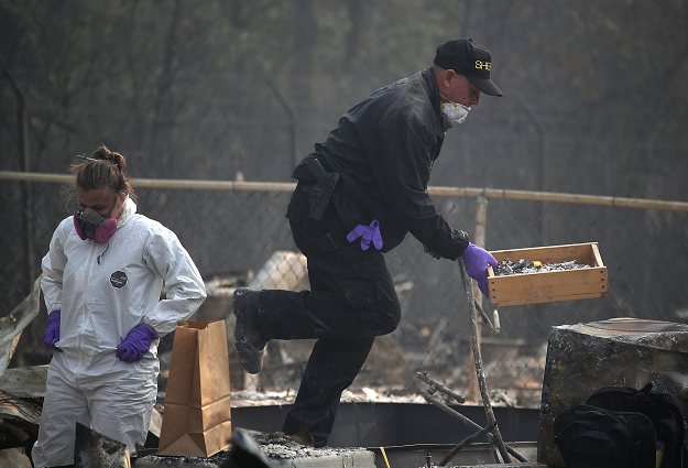A San Bernardino County sheriff deputy carries a tray with human remains that were found at a home destroyed by the Camp Fire. PHOTO: AFP