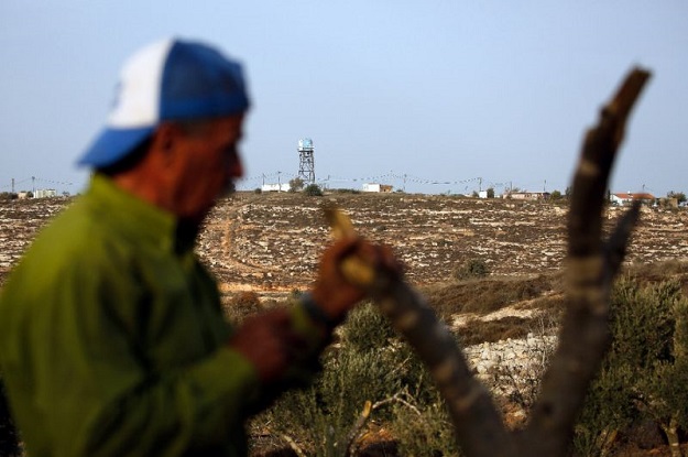 More than 7,000 Palestinian-owned trees have been vandalised so far this year, according to the United Nations. PHOTO AFP