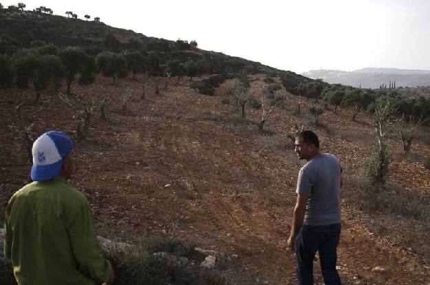 Palestinian farmer Mahmud Abu Shinar said that in recent weeks around 200 trees had been destroyed in fields he works on near Ramallah. Israeli settlers say that their crops have also been damaged by Palestinians. PHOTO AFP
