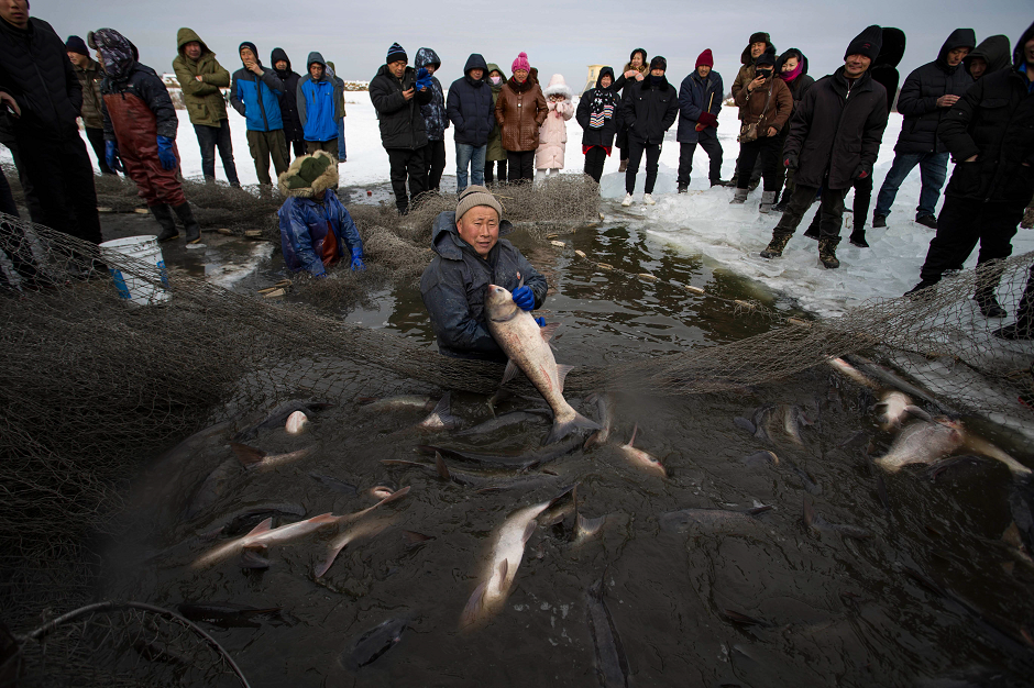 This photo taken on January 16, 2019 shows a man catching fish in a net in the frozen Laoyuegou Reservoir in Cangyao Town, Jilin City, in China's northeast Jilin province. - The fish, which have been fattening up in the reservoir after being put there as fingerlings, were transferred to a new pond before being sold fresh to customers. PHOTO: AFP