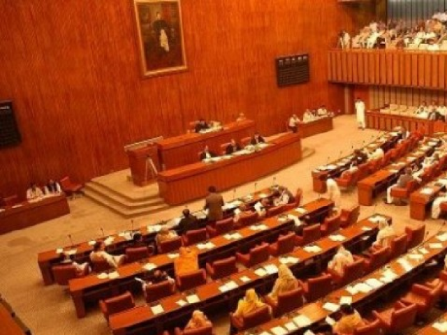 senate panel regularisation of daily wage workers deferred