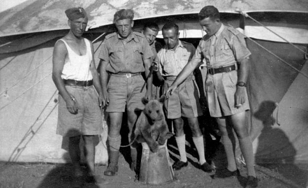 In this undated handout provided by the Polish Institute and the Sikorski museum, Wojtek is surrounded by soldiers in then Persia as a cub. He later got his own army paybook and rations. PHOTO: AFP