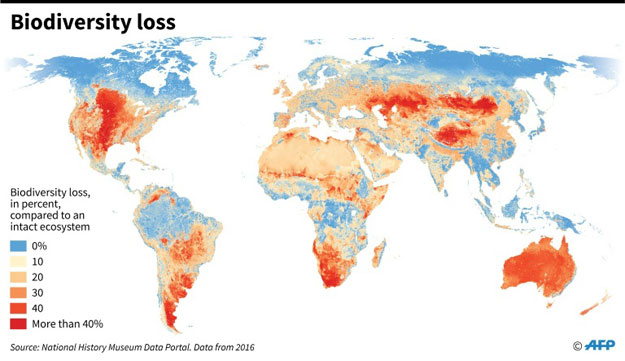 Biodiversity loss around the world measured in percentage compared to an intact ecosystem. PHOTO: AFP