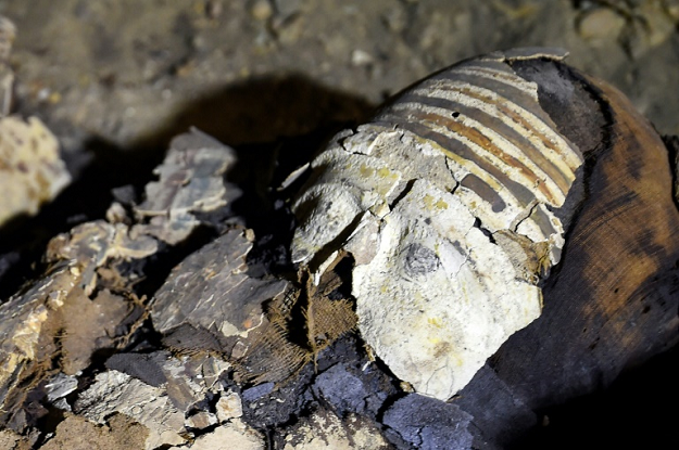 A newly-discovered mummy wrapped in linen with sarcophagus fragments found in burial chambers dating to the Ptolemaic era (323-30 BC) in Egypt's southern Minya province. PHOTO: AFP