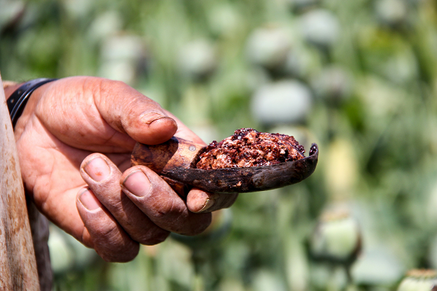In this photograph taken on April 13, 2019, an Afghan farmer shows a handful of opium sap harvested from a poppy field in the Gereshk district of Helmand province. PHOTO: AFP