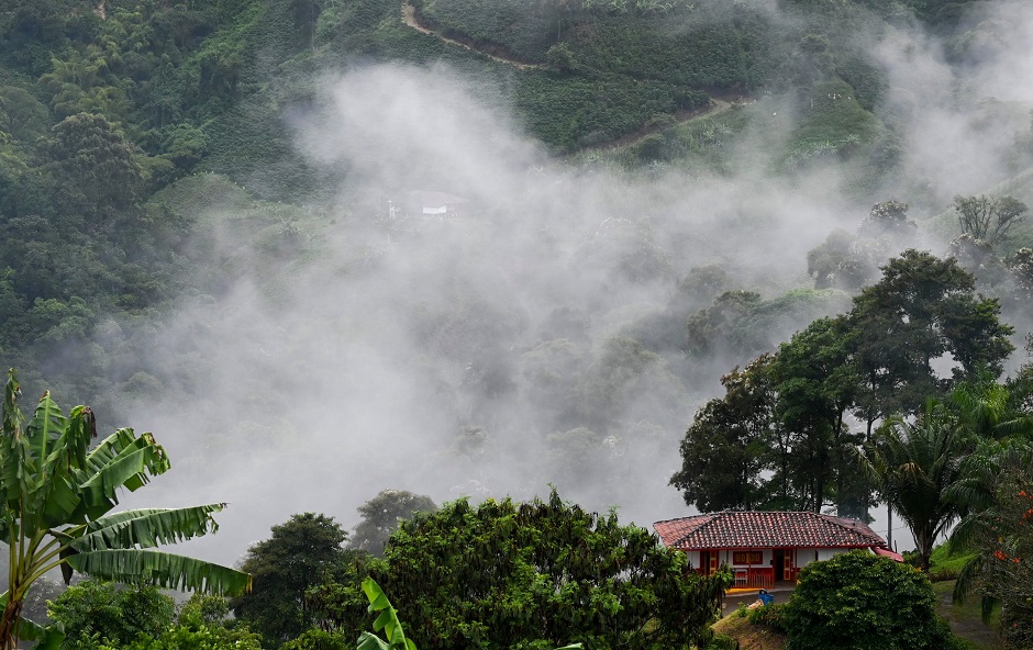 General view of coffee plantations in Santuario municipality, Risaralda department, Colombia. PHOTO: AFP