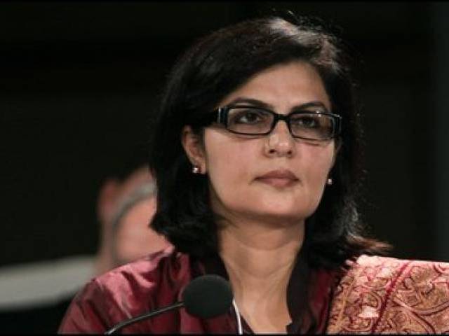 dr sania nishtar photo twitter