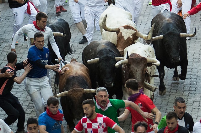 participants run next to palmosilla fighting bulls on the seventh bullrun of the san fermin festival in pamplona photo afp