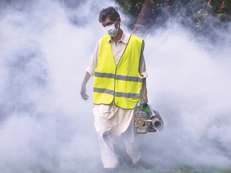 a cda employee busy in anti mosquito fumigation in a park in islamabad photo zafar aslam express