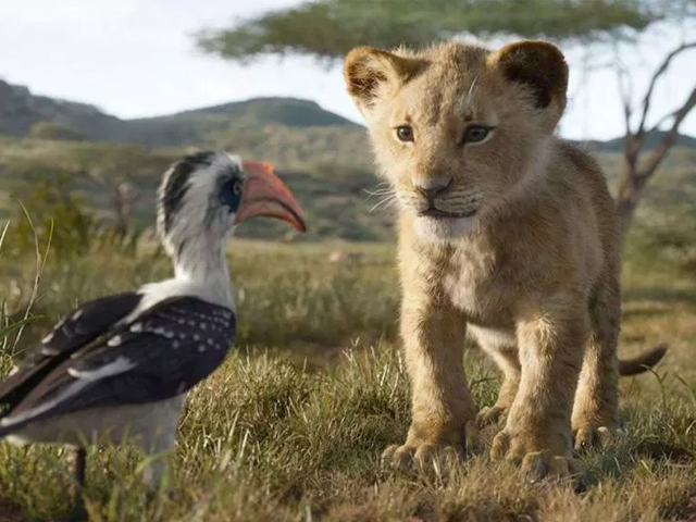 5 reasons the lion king remake is a must watch