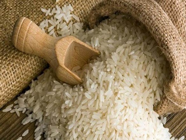 tackling emerging threat to rice in pakistan
