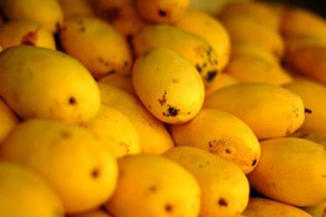 king of fruits adding sweetness to pakistan s sour economy