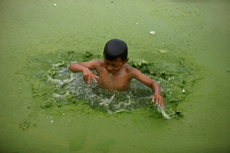 A boy takes a dip into a pond covered with algae in Baktapur,Nepal: REUTERS