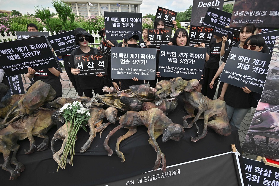 South Korean animal rights activists hold placards next to likenesses of dead dogs during a protest against the dog meat trade in front of the National Assembly in Seoul :AFP
