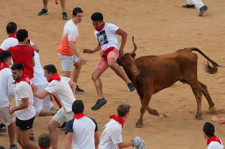  A wild cow hits a reveller inside the bullring after the running of the bulls at the San Fermin festival in Pamplona, Spain: REUTERS