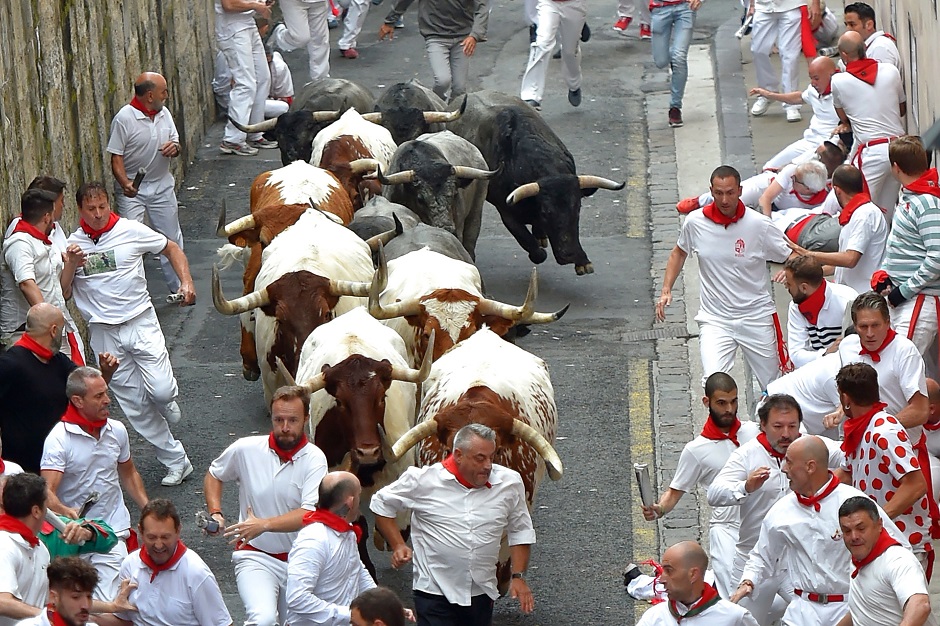 Revellers sprint near bulls and steers during the running of the bulls. PHOTO: Reuters