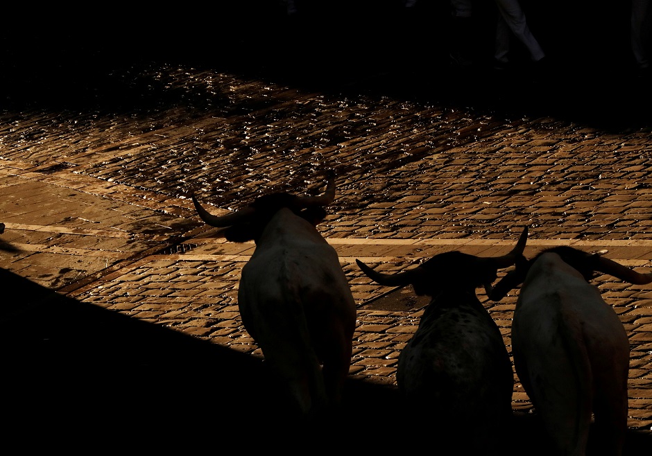 Steers run during the running of the bulls day 5 at the San Fermin festival in Pamplona, Spain. PHOTO: Reuters.