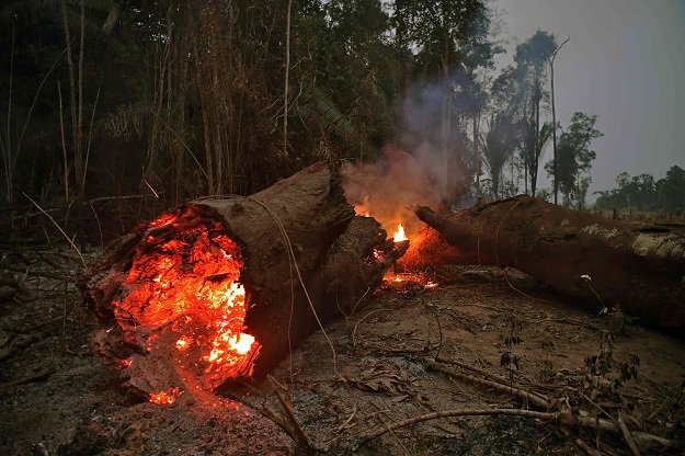 View of fire in the Amazon rainforest, near Abuna, Rondonia state, Brazil. PHOTO: AFP