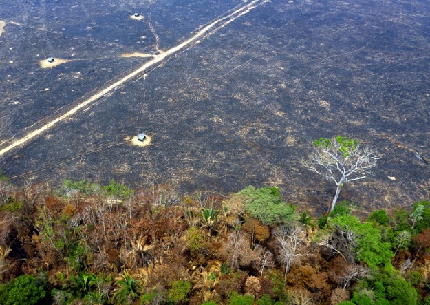 Aerial view of burnt areas of the Amazon rainforest near Porto Velho, in Rondonia state. PHOTO: AFP